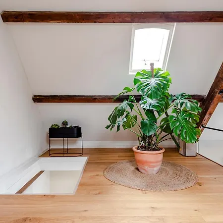 Railway Forge Loft Daire Haarlem